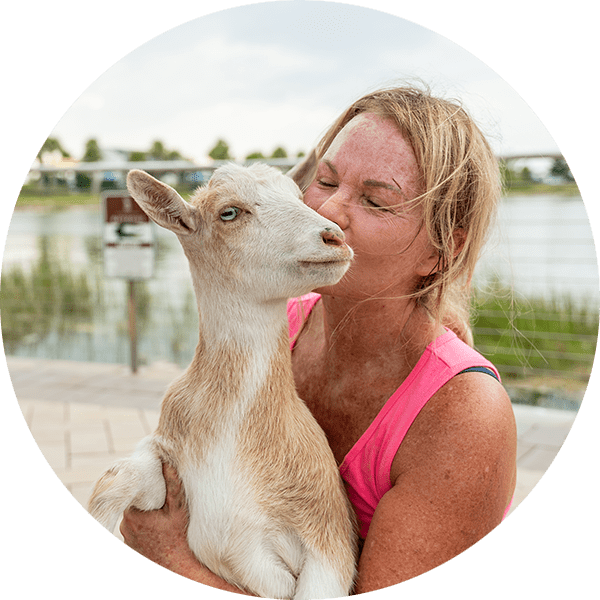 Goat Yoga